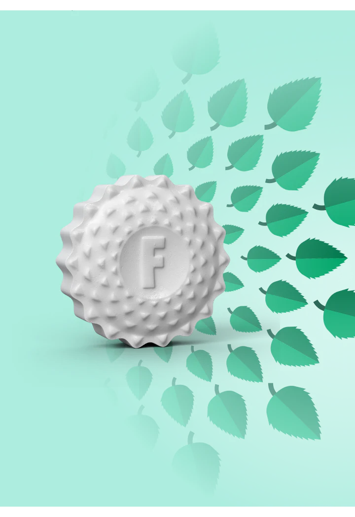 Flintts mints benefits